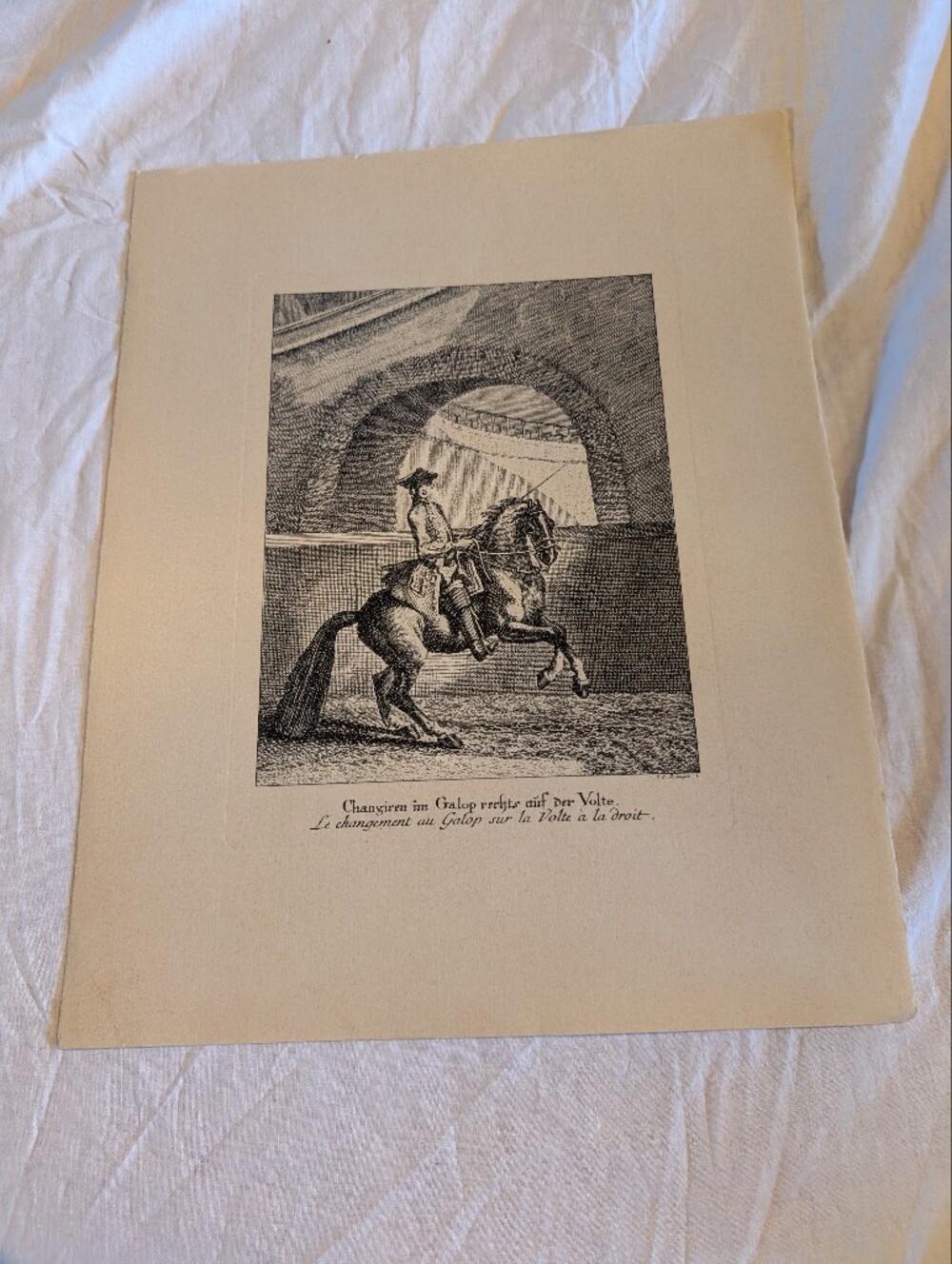 2/40$ Vintage Equestrian Engraving Wall Art - Black & Cream